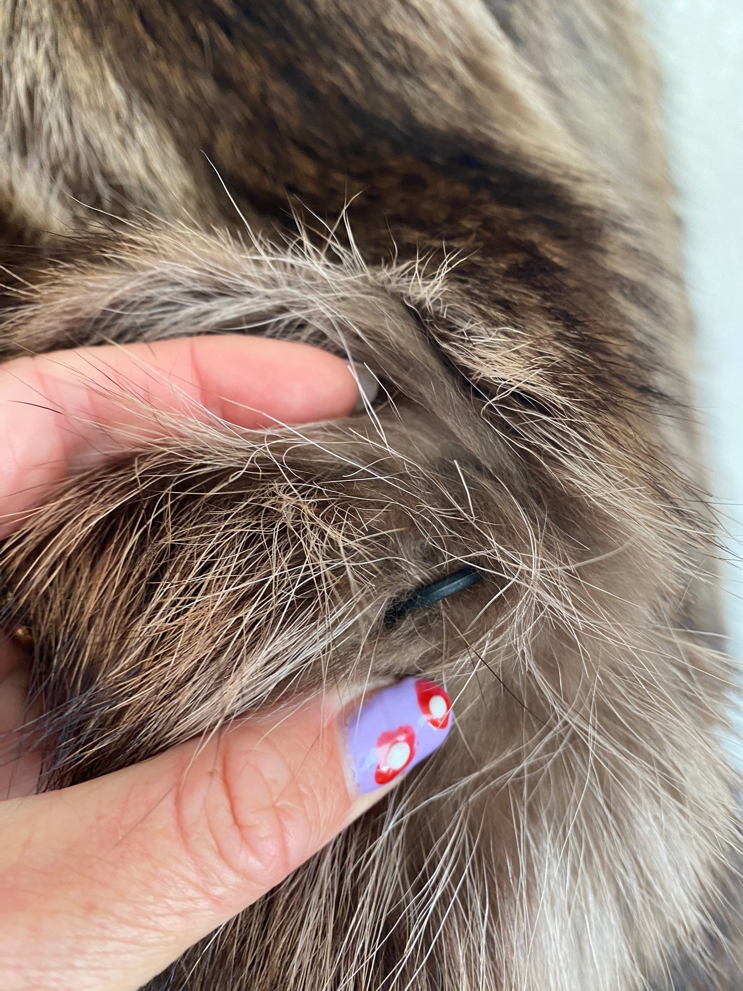 Vintage Fur Coat (693)