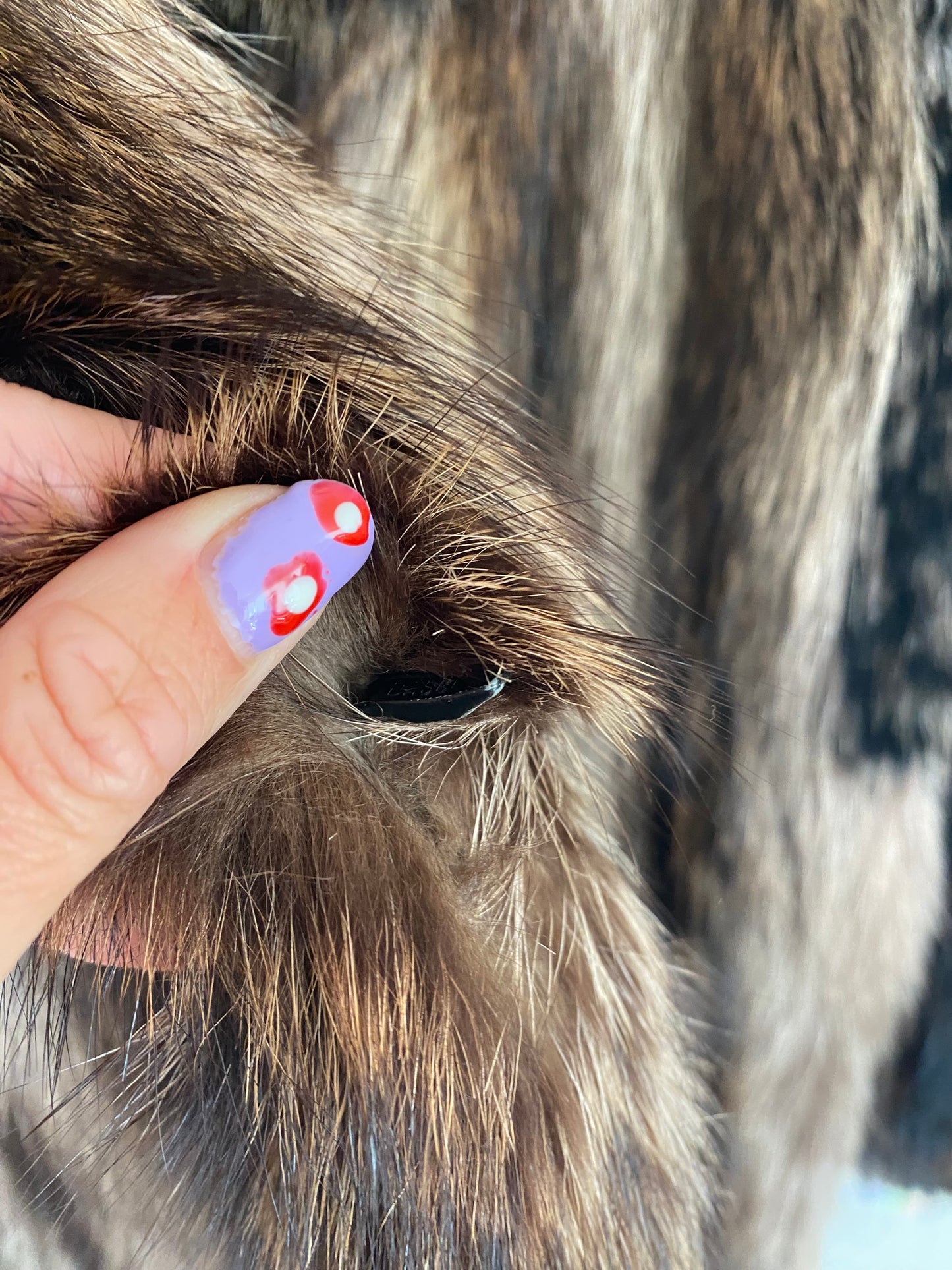 Vintage Fur Coat (693)